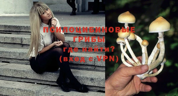 альфа пвп Инта