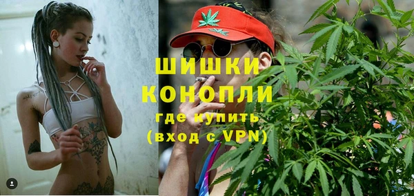 spice Карпинск