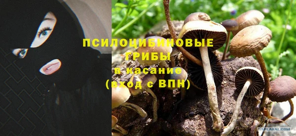 альфа пвп Каменка
