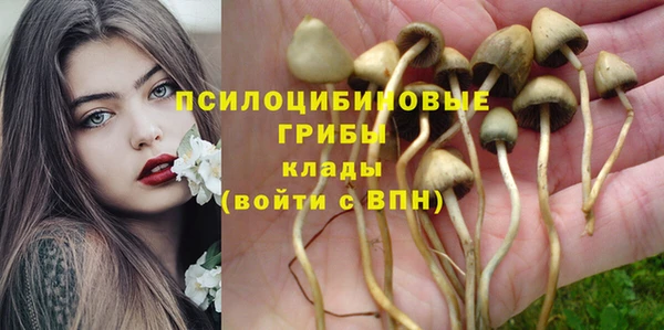 альфа пвп Инта