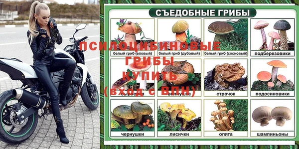 ешки Инсар