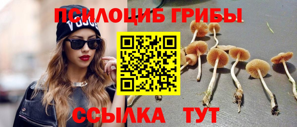 Псилоцибиновые грибы мицелий Жуковский