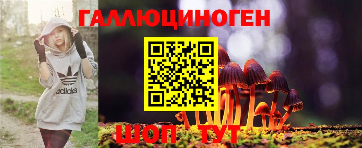 Галлюциногенные грибы GOLDEN TEACHER  Вход с VPN  Жуковский 